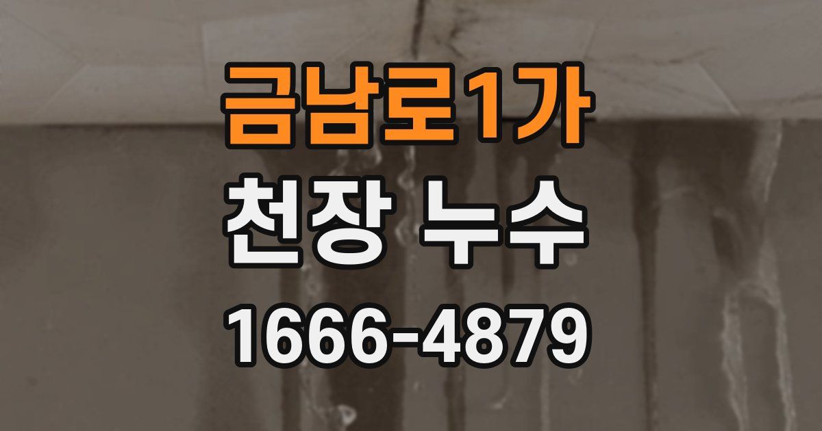 금남로1가 천장 누수