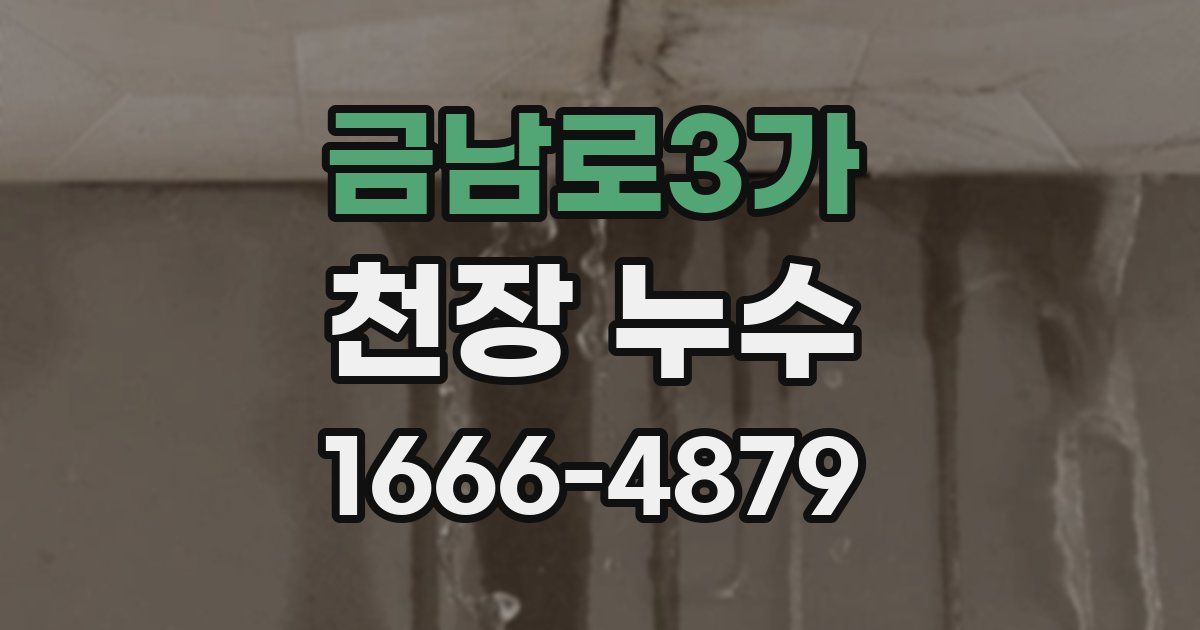금남로3가 천장 누수