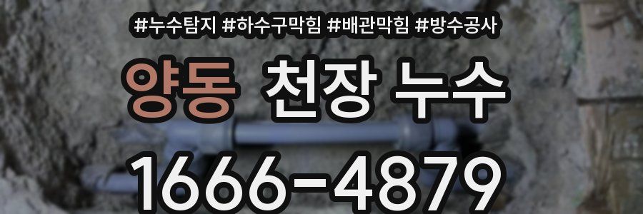 양동 천장 누수