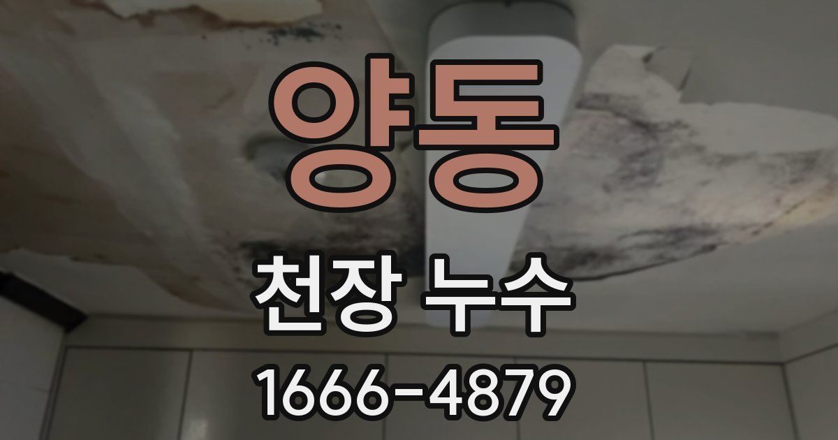 양동 천장 누수