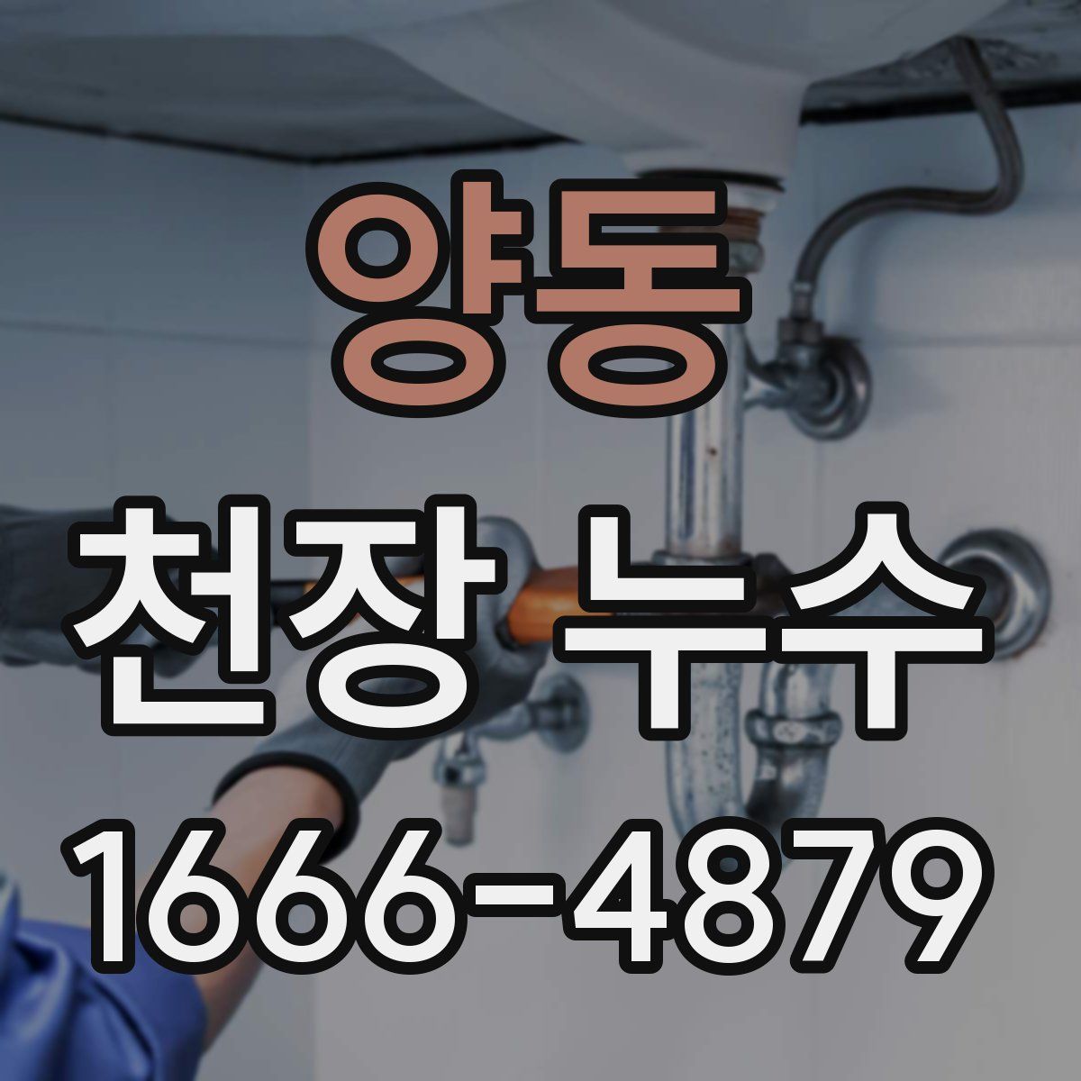 양동 천장 누수