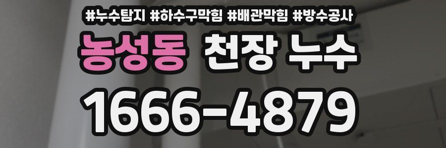 농성동 천장 누수