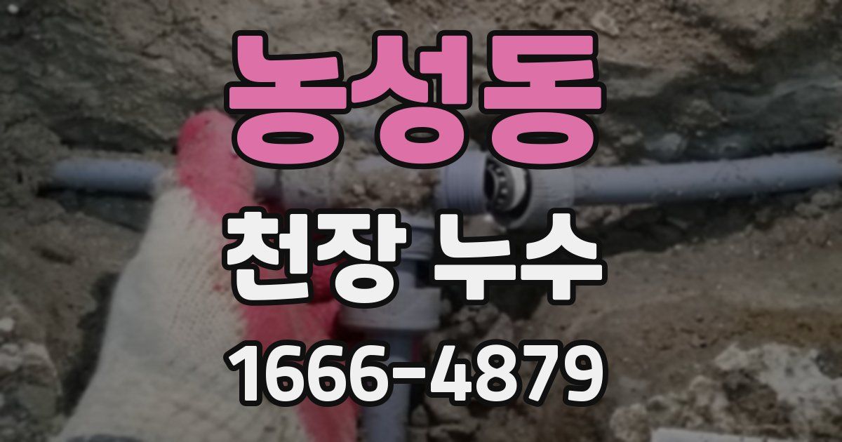 농성동 천장 누수