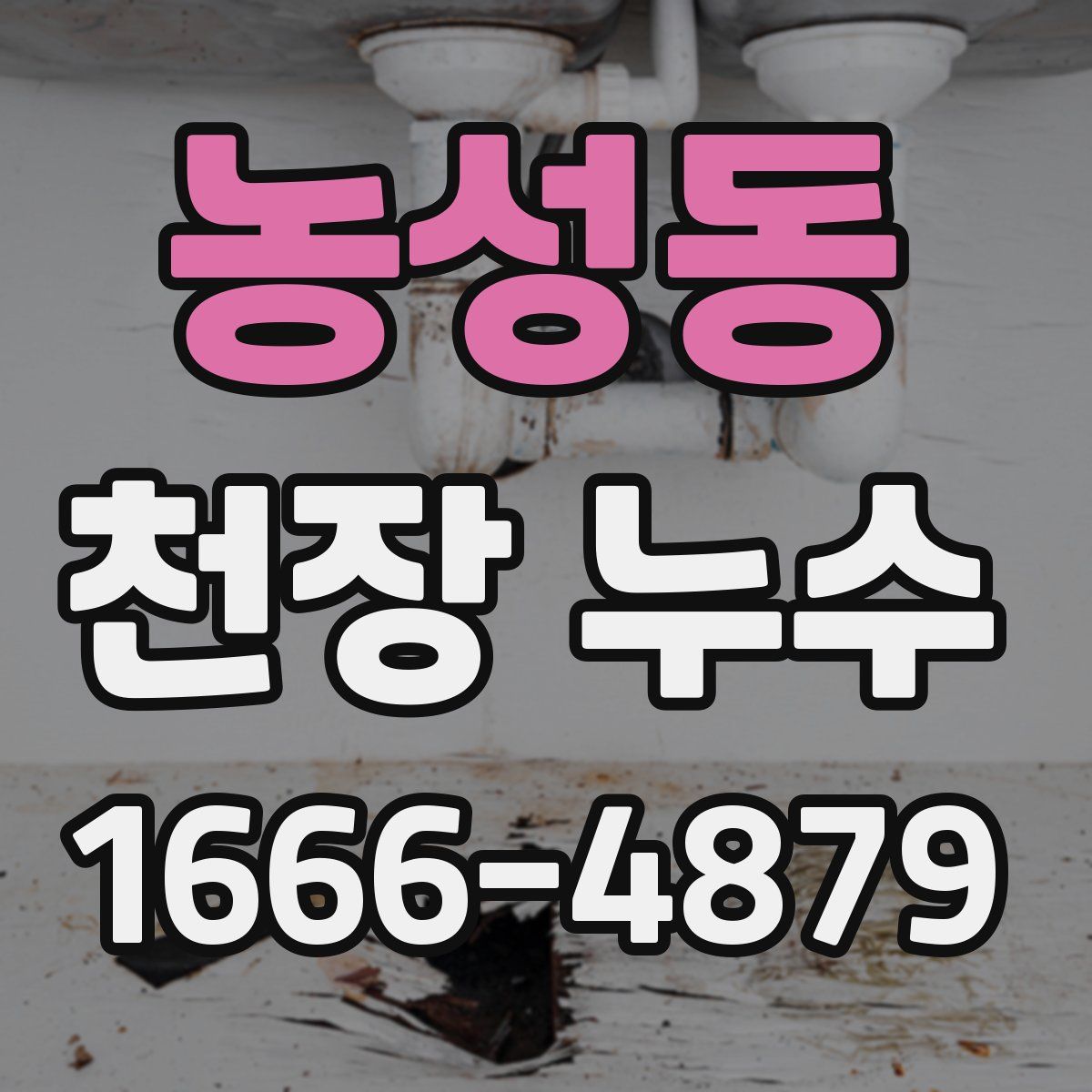 농성동 천장 누수