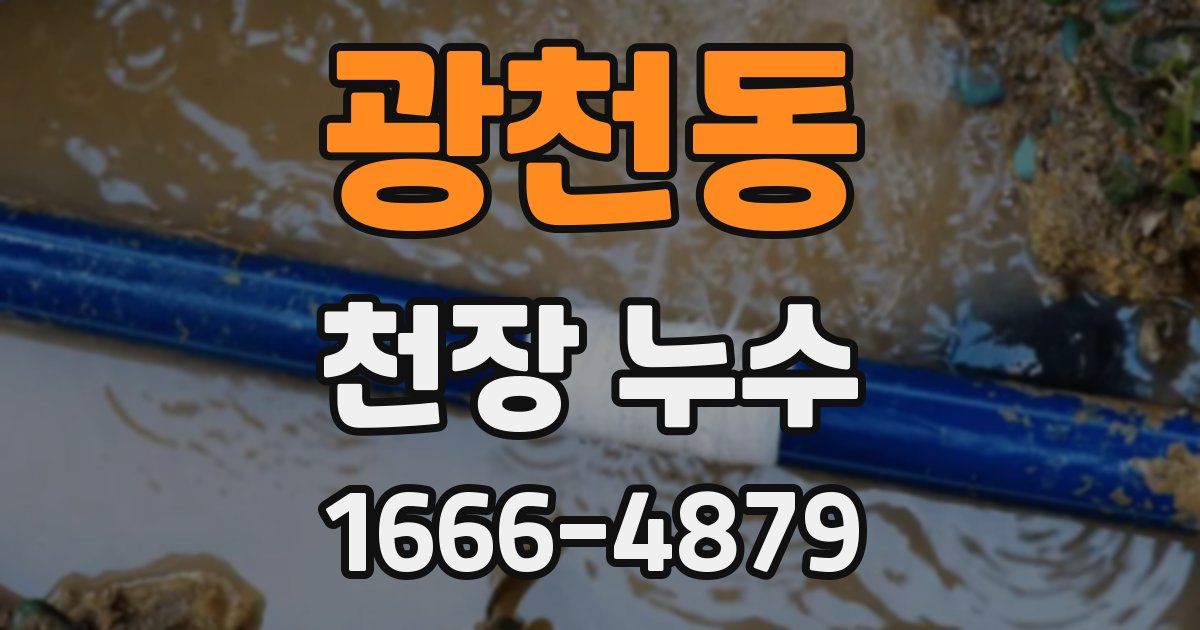 광천동 천장 누수