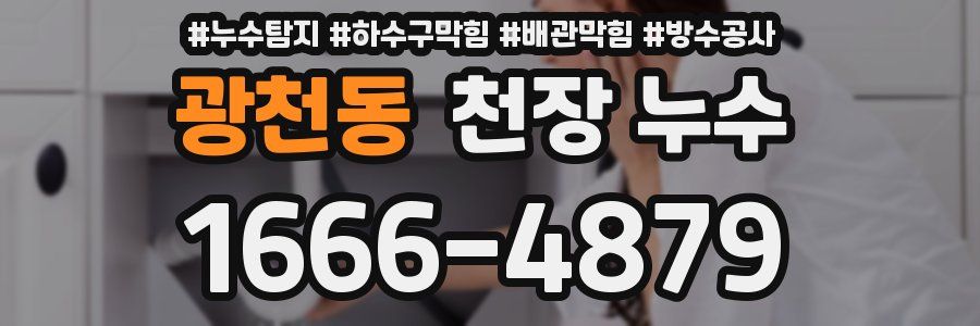광천동 천장 누수