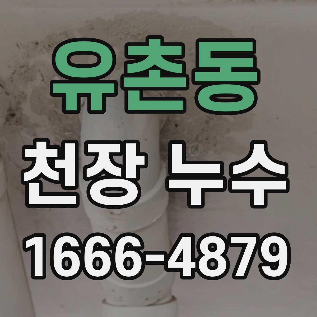 유촌동 천장 누수