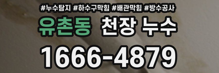 유촌동 천장 누수