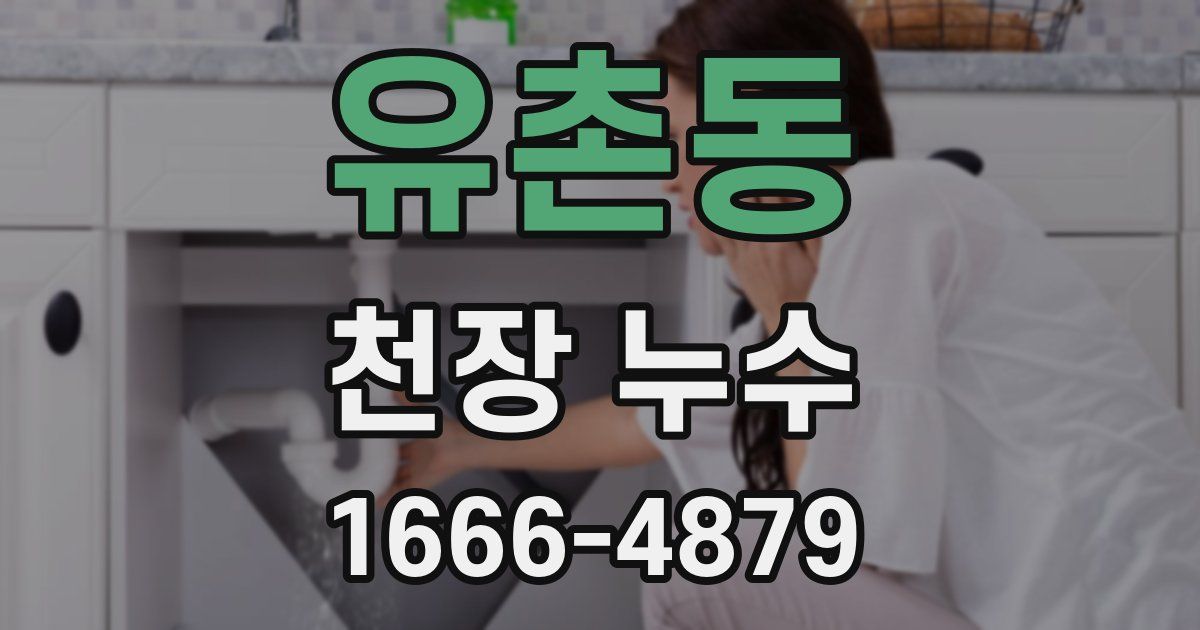 유촌동 천장 누수