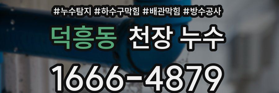 덕흥동 천장 누수