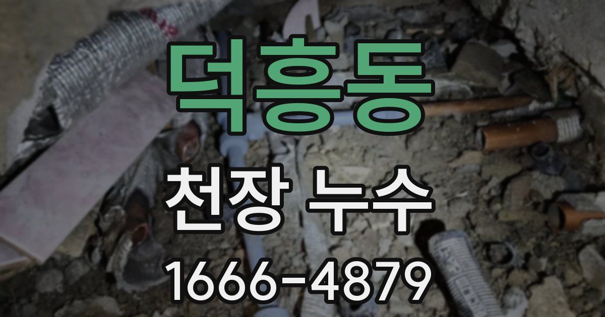 덕흥동 천장 누수