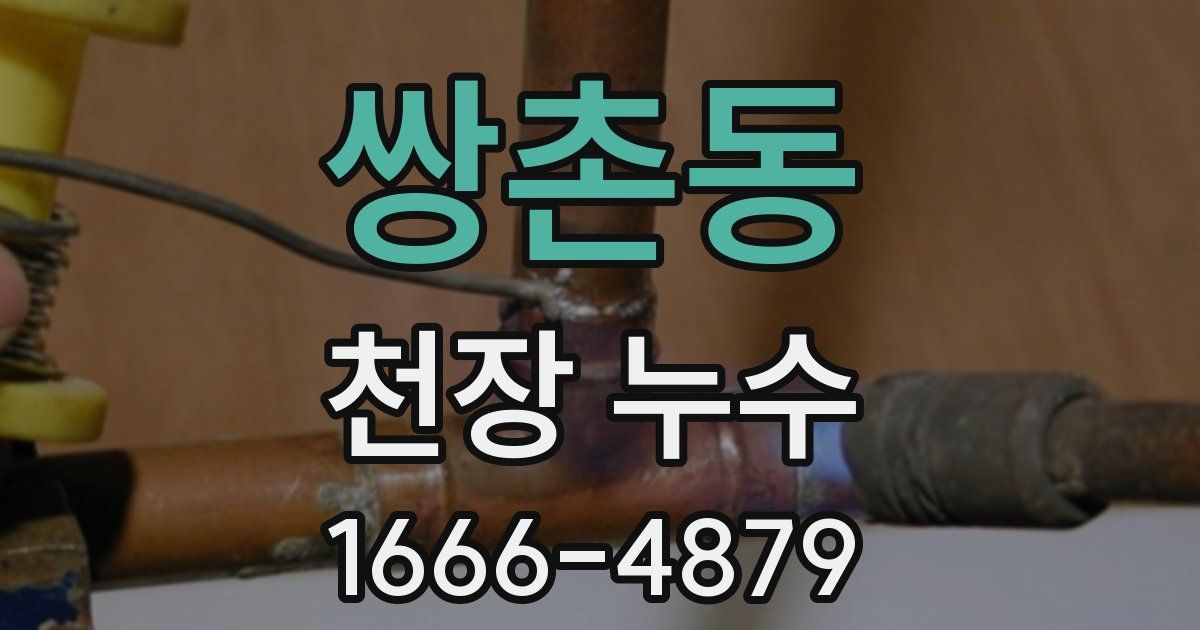 쌍촌동 천장 누수
