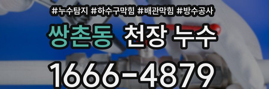쌍촌동 천장 누수