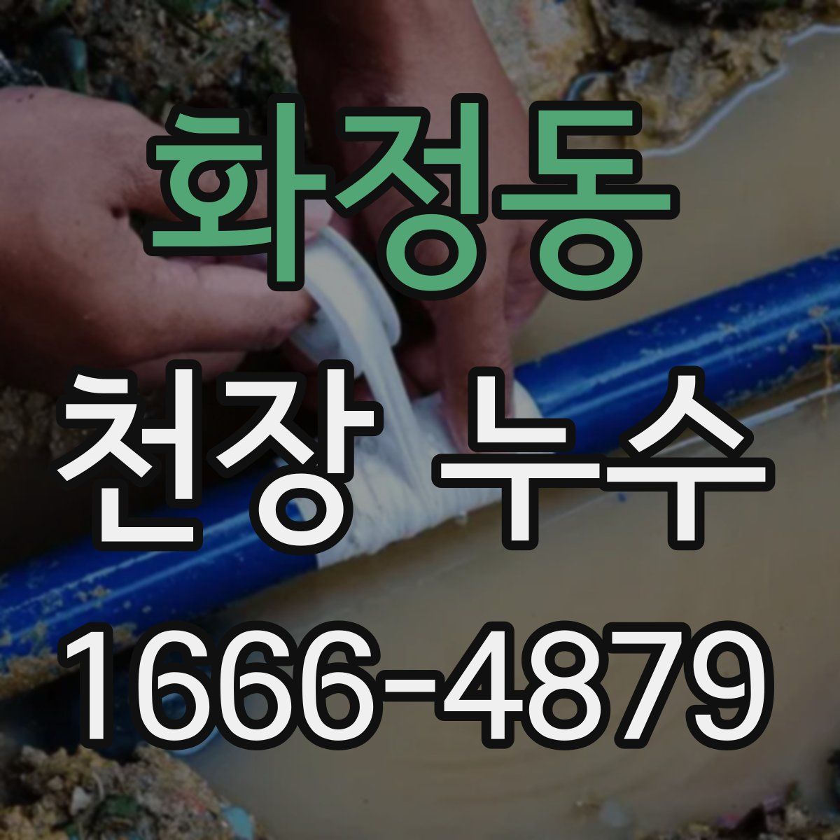 화정동 천장 누수