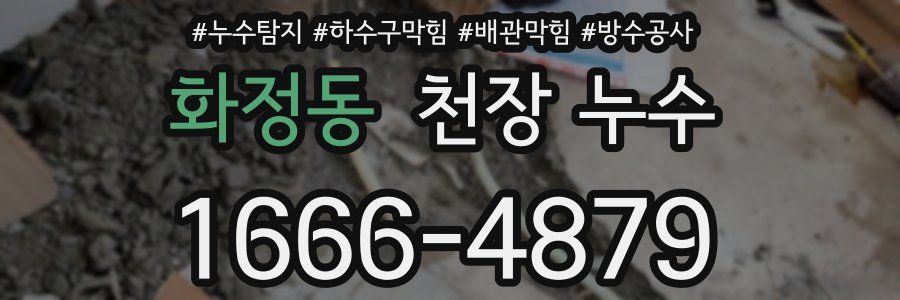 화정동 천장 누수