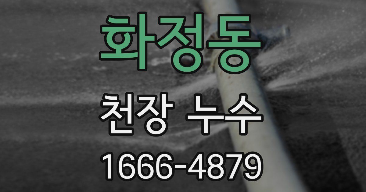 화정동 천장 누수