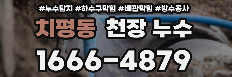 치평동 천장 누수