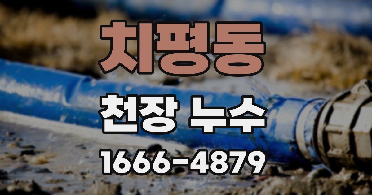 치평동 천장 누수