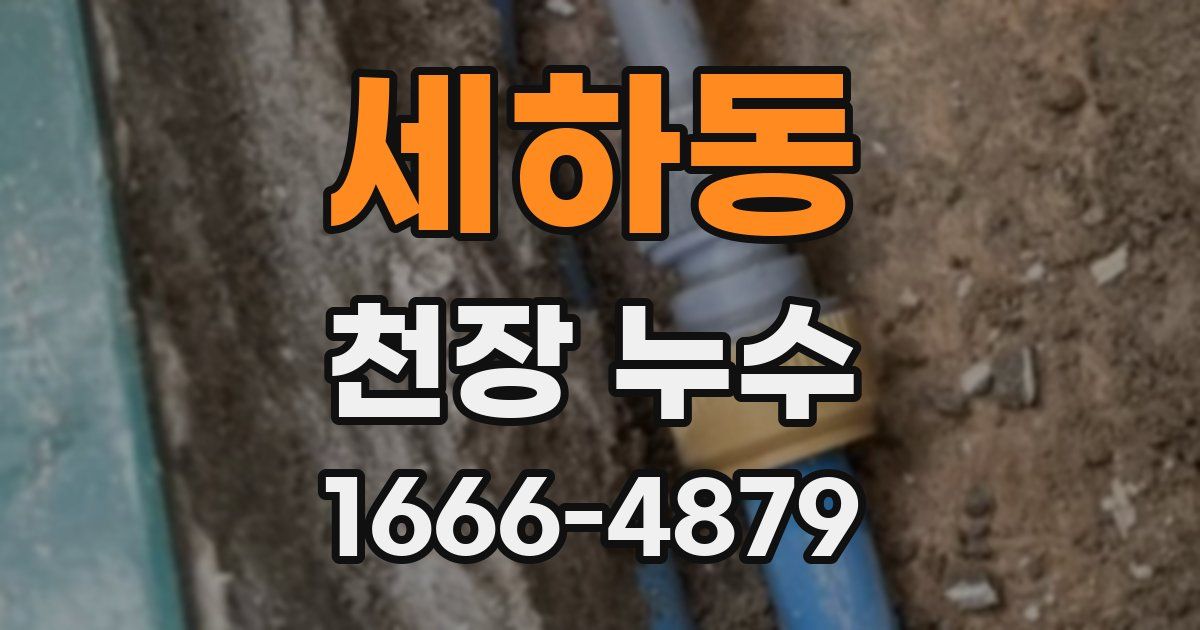 세하동 천장 누수
