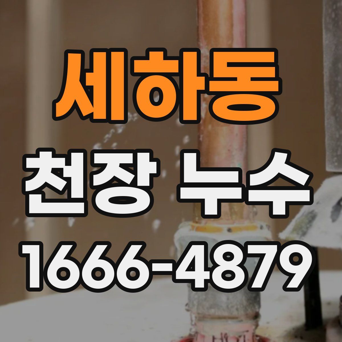 세하동 천장 누수