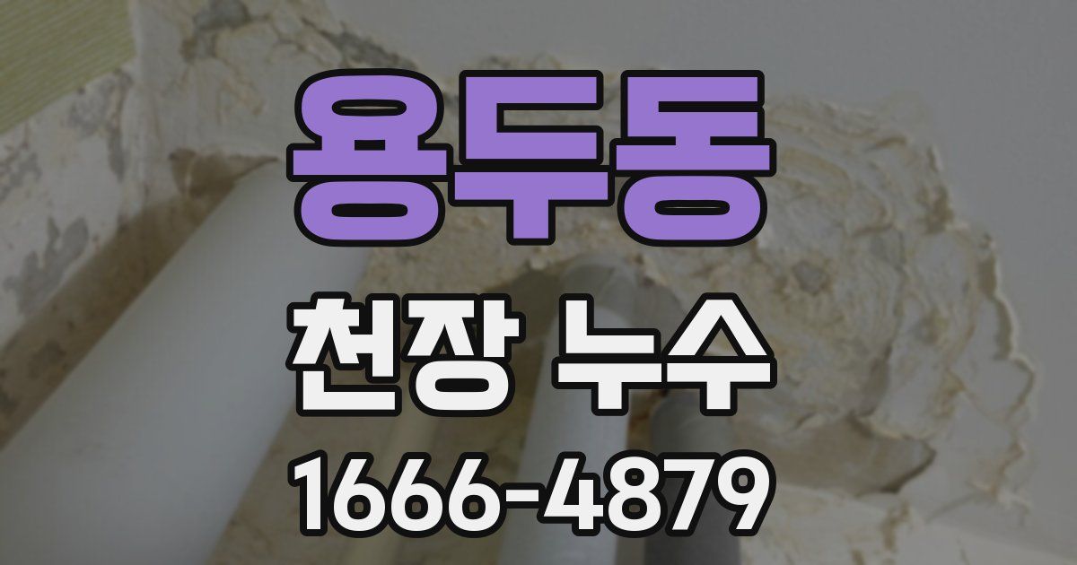 용두동 천장 누수