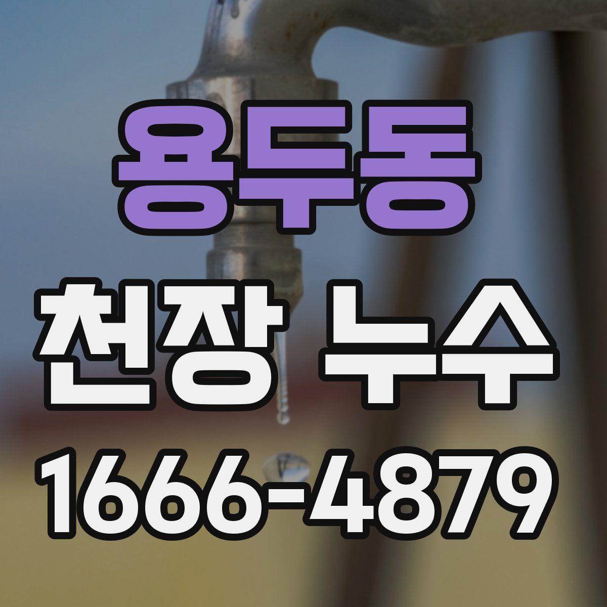 용두동 천장 누수