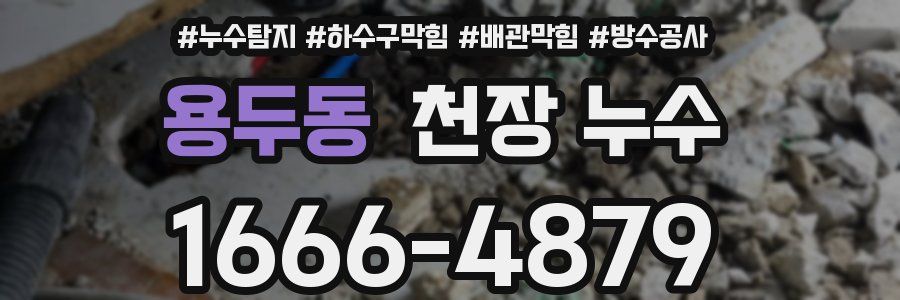 용두동 천장 누수