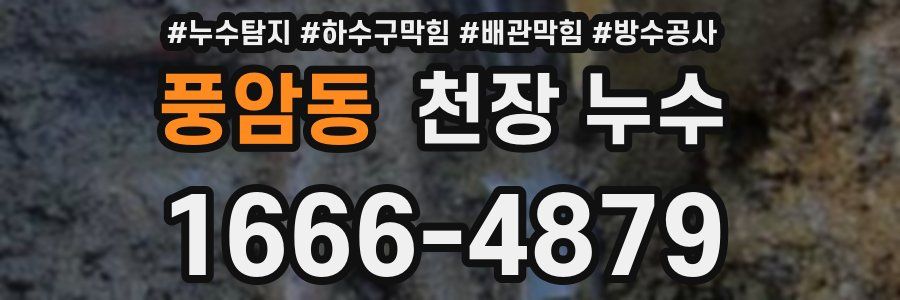 풍암동 천장 누수