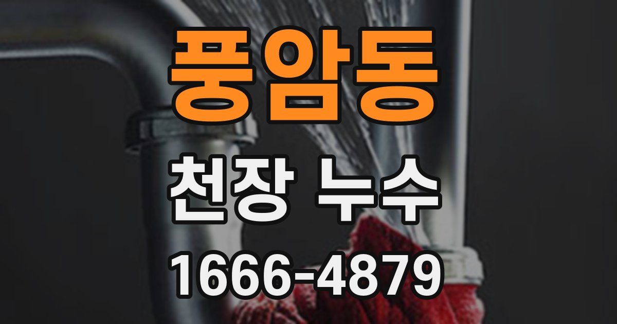 풍암동 천장 누수