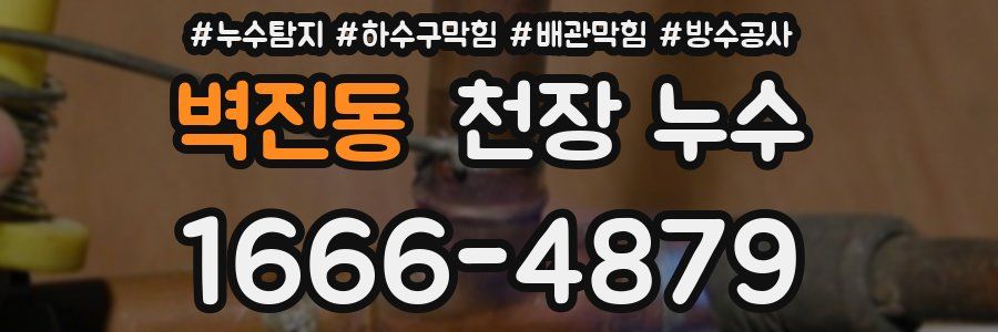 벽진동 천장 누수
