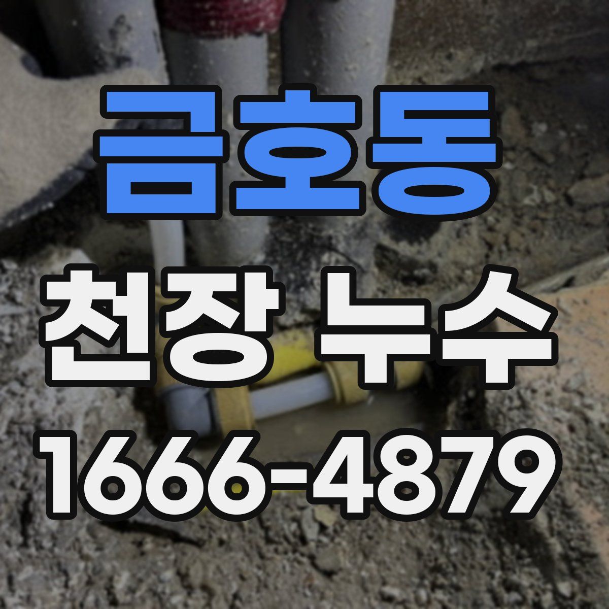 금호동 천장 누수