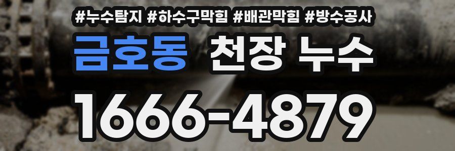 금호동 천장 누수