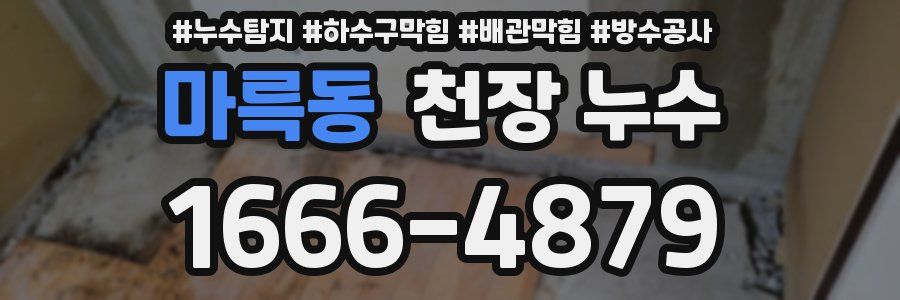 마륵동 천장 누수