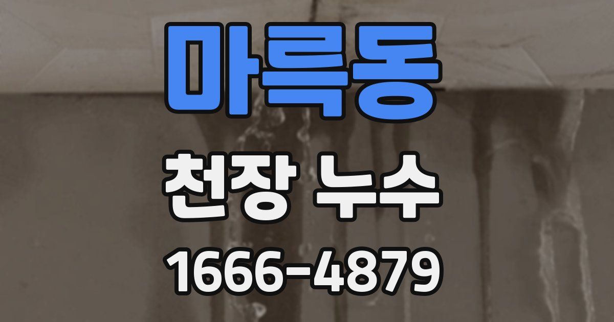 마륵동 천장 누수