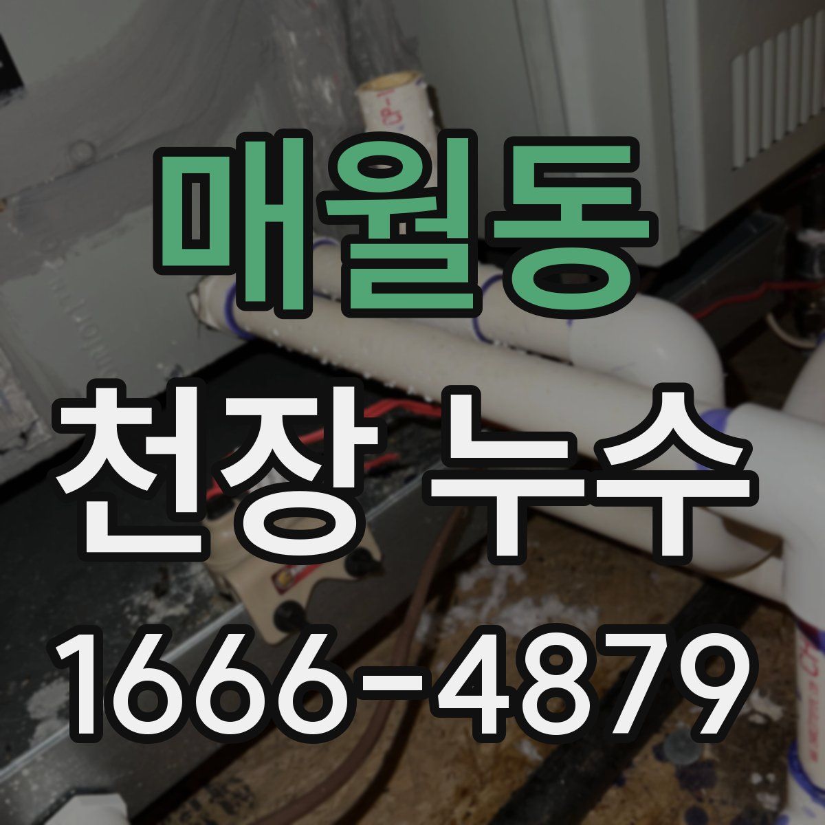 매월동 천장 누수