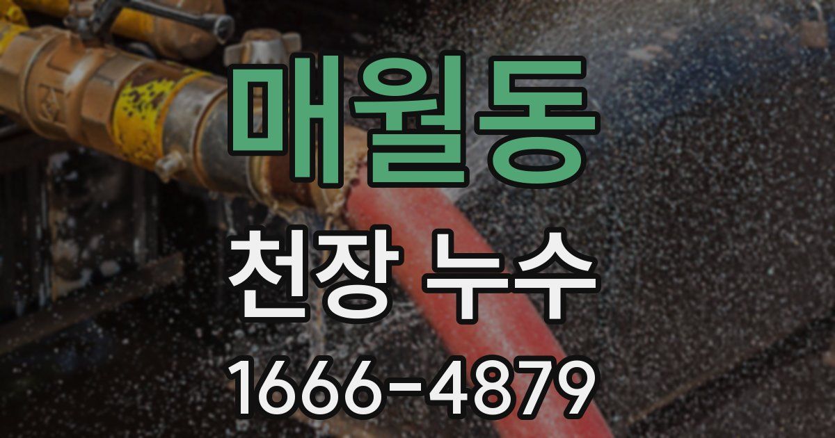 매월동 천장 누수
