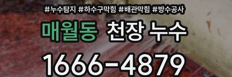 매월동 천장 누수