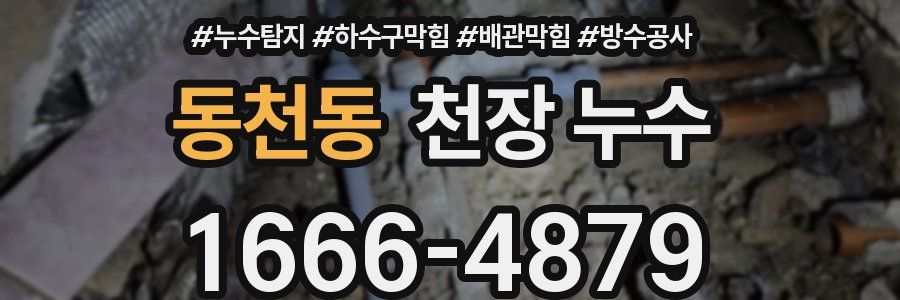 동천동 천장 누수