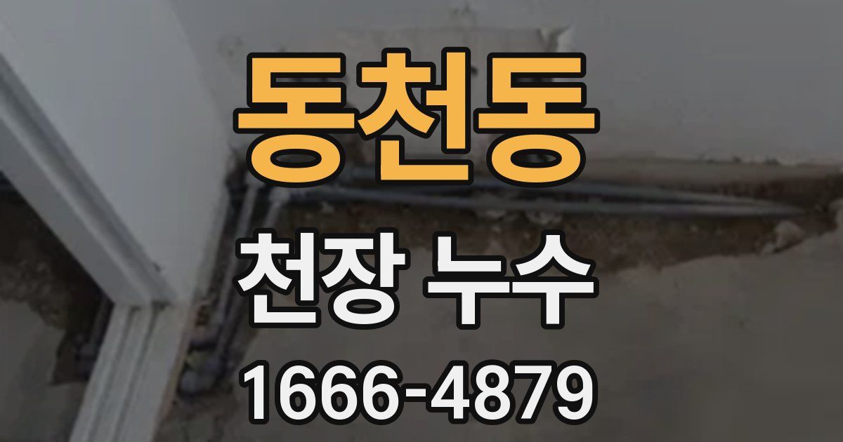 동천동 천장 누수