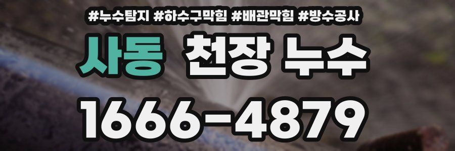 사동 천장 누수