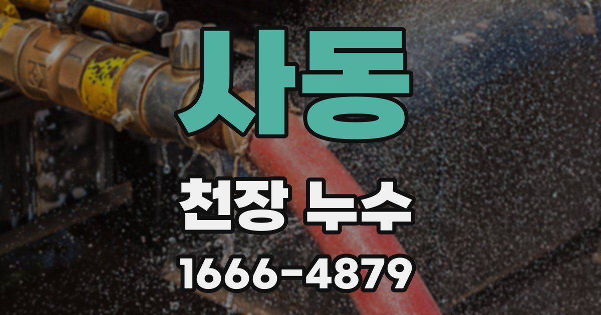 사동 천장 누수