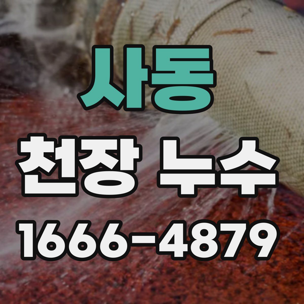 사동 천장 누수