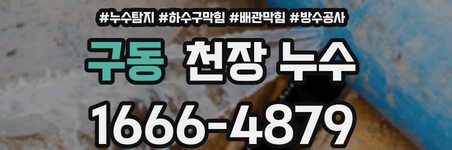 구동 천장 누수