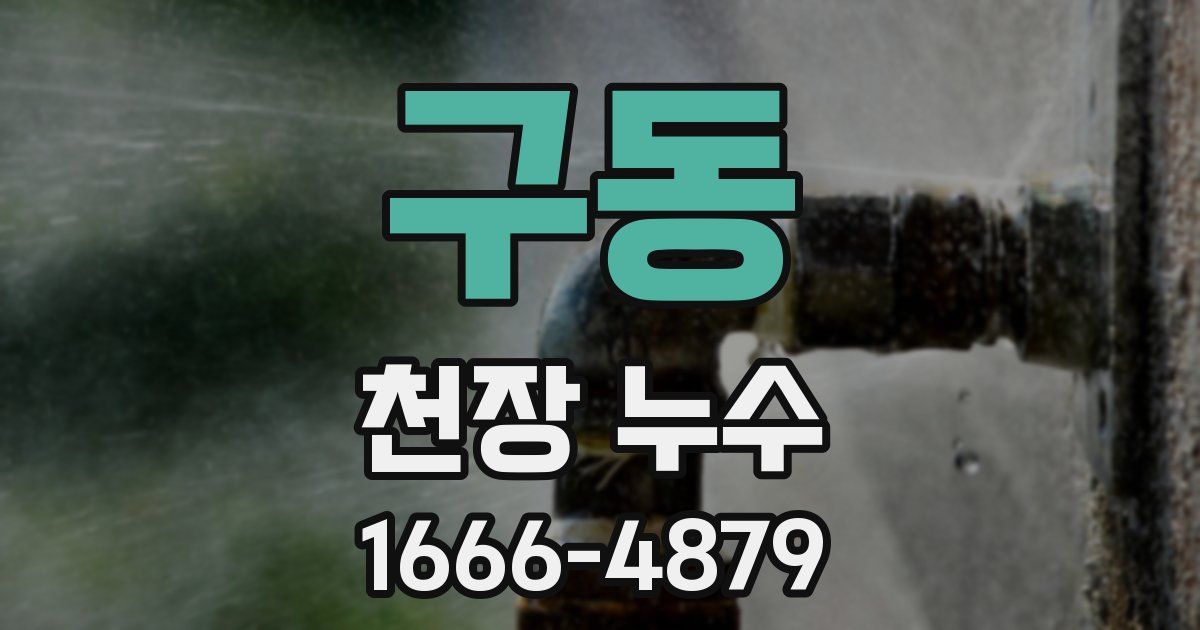 구동 천장 누수