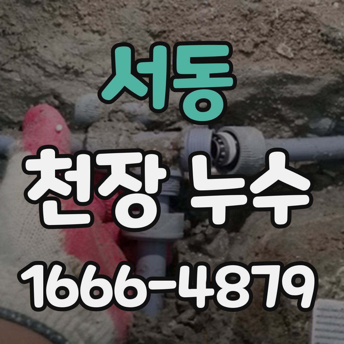 서동 천장 누수