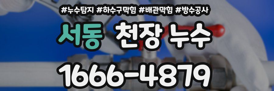 서동 천장 누수