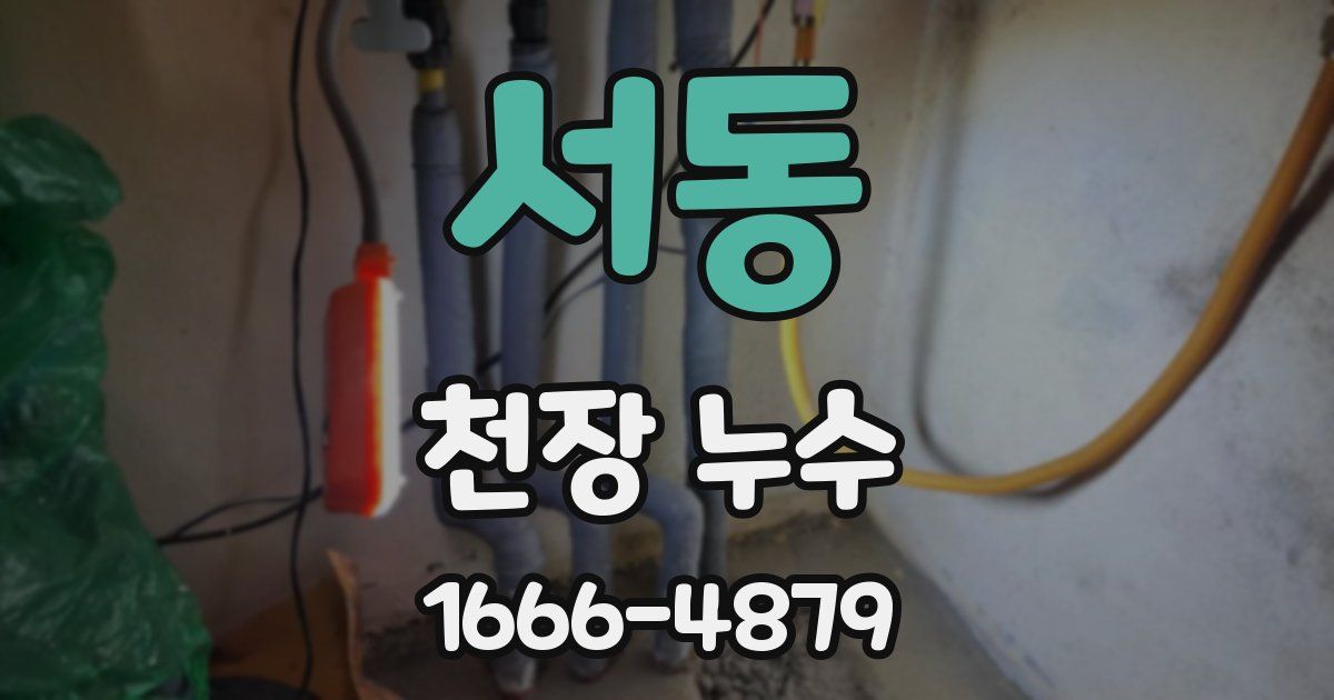 서동 천장 누수