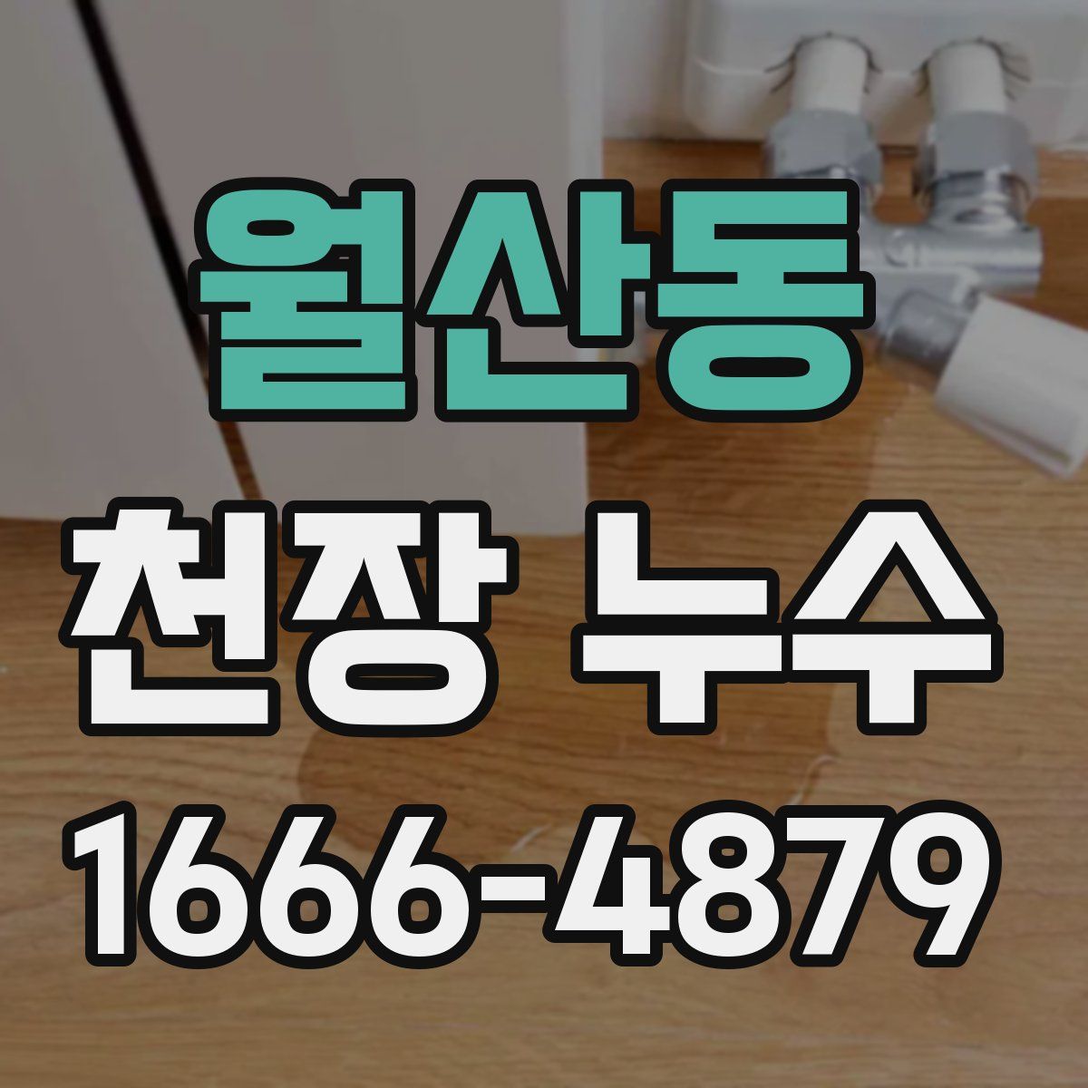 월산동 천장 누수