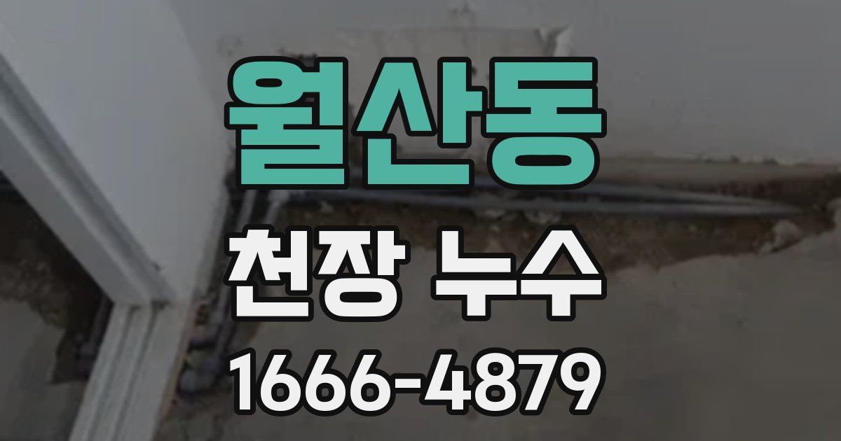 월산동 천장 누수