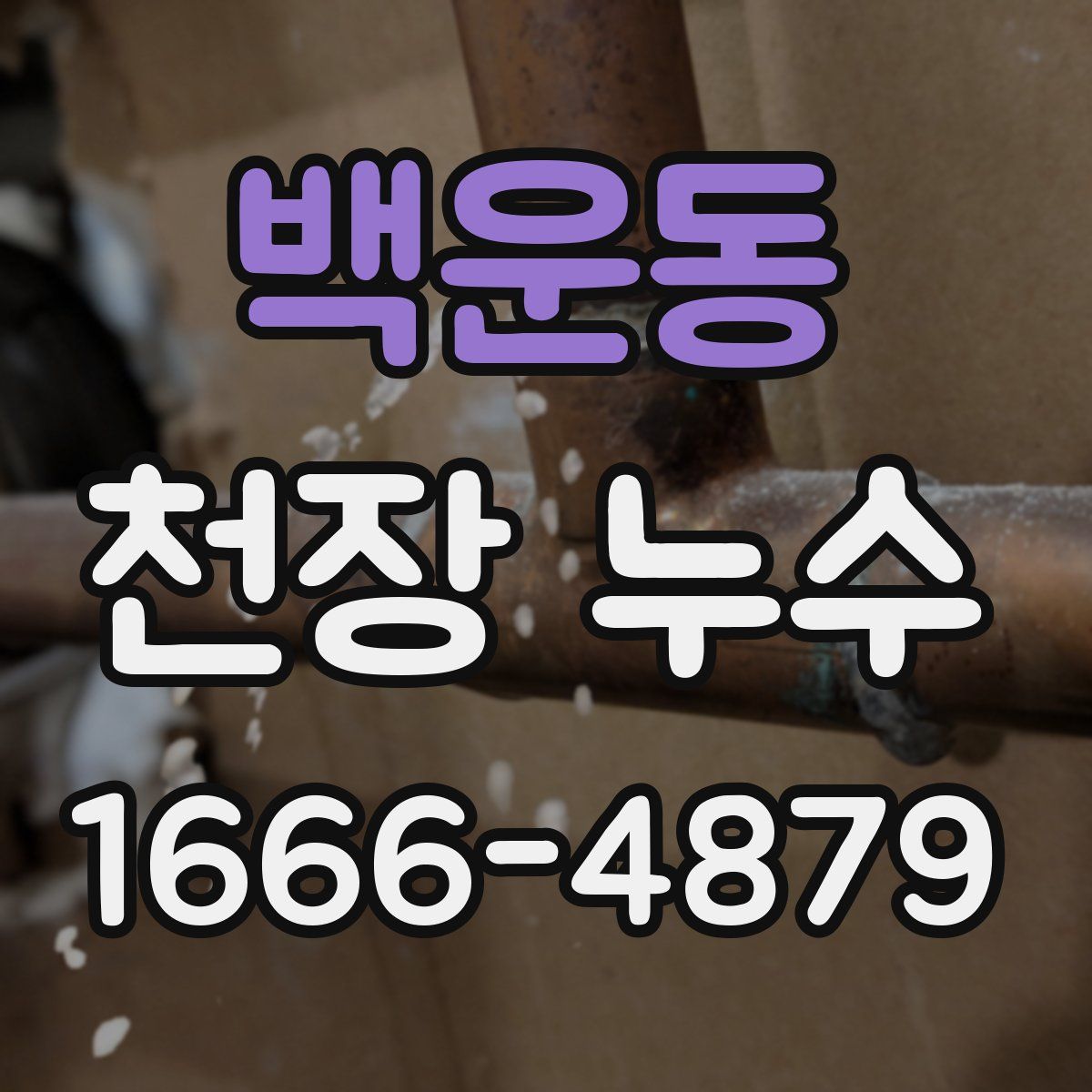 백운동 천장 누수